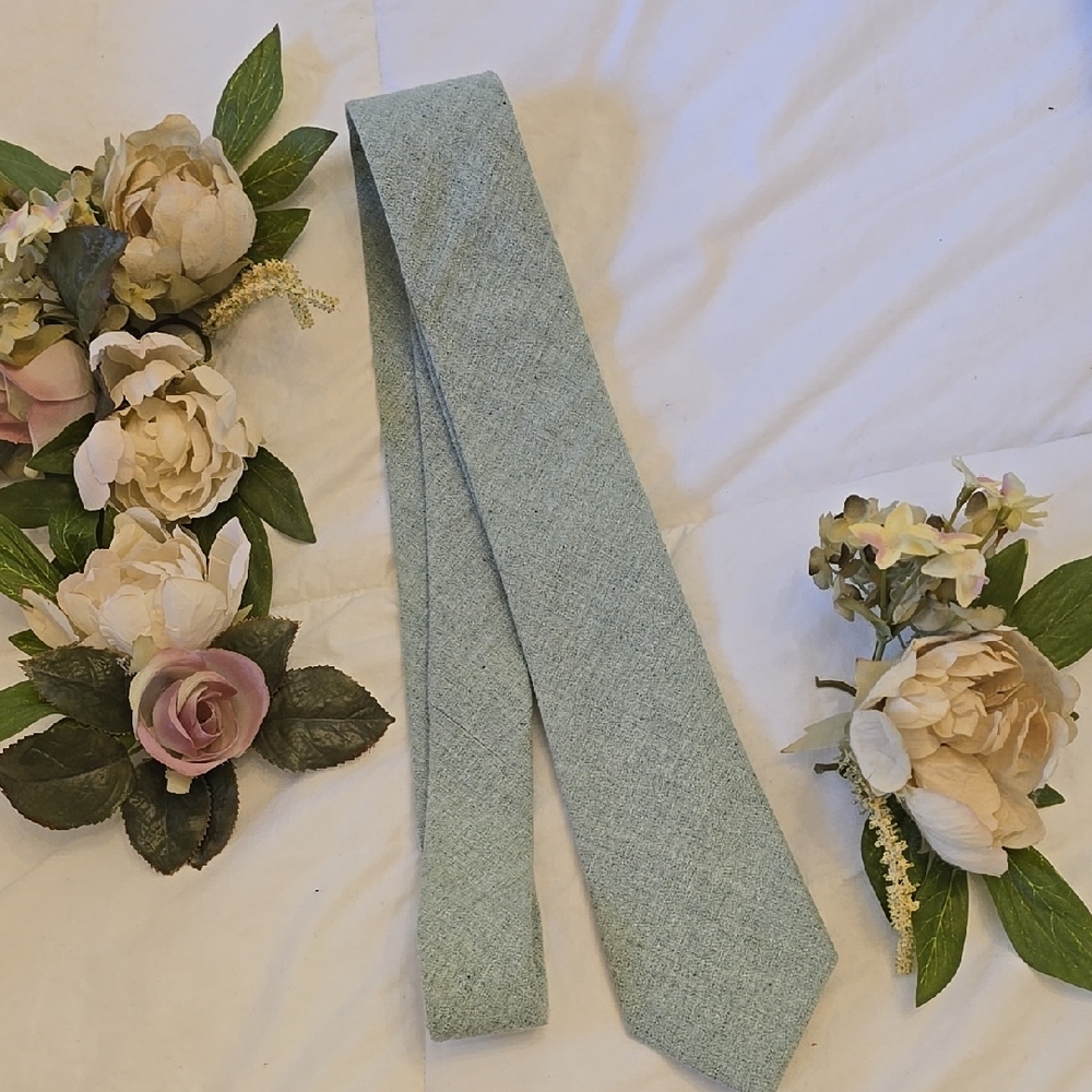 Express Elegant Light Green Tie